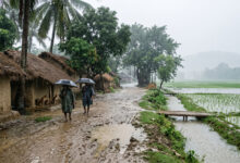 Monsoon