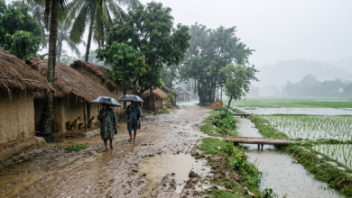Monsoon
